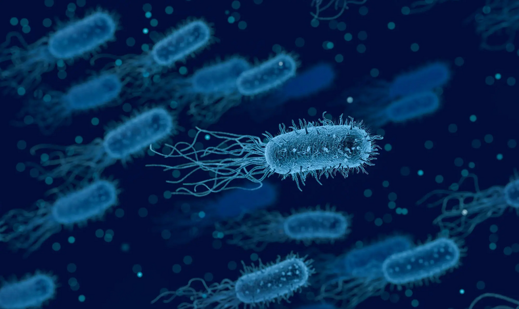Scientists Develop New Class of Antibiotics To Fight Resistant Bacteria