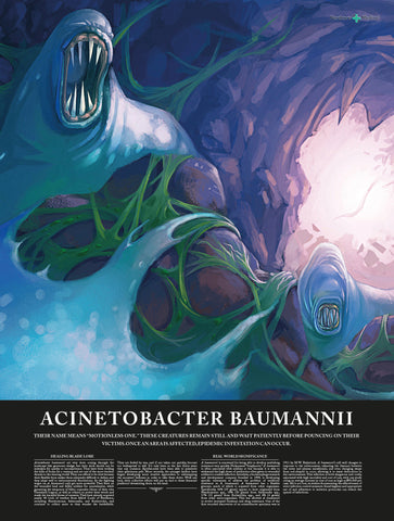 Acinetobacter baumannii poster