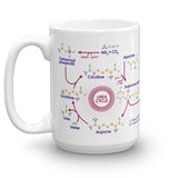 Krebs Cycle Urea Cycle Mug