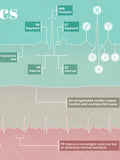 Electrocardiography Basics Poster