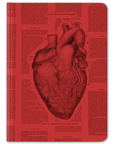 Anatomical Heart notebook