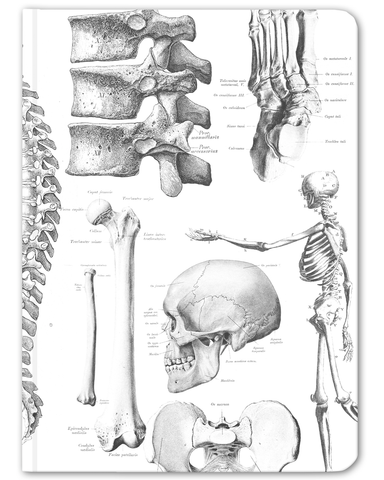 Skeleton Anatomy hardcover notebook