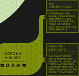 Virus Classification Flowchart Poster