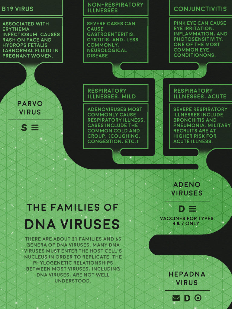 Virus Classification Flowchart Poster – NerdcoreMedical